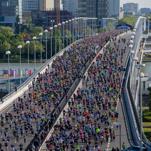 MARATONA DI VIENNA | 42K,21K,Staffetta 2024